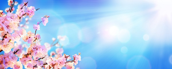 戰(zhàn)疫情，北京韋林公司全體員工齊心協(xié)力共克時(shí)艱！